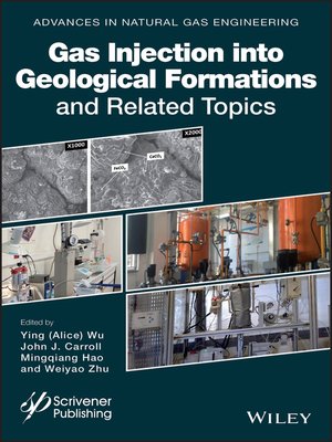 cover image of Gas Injection into Geological Formations and Related Topics
